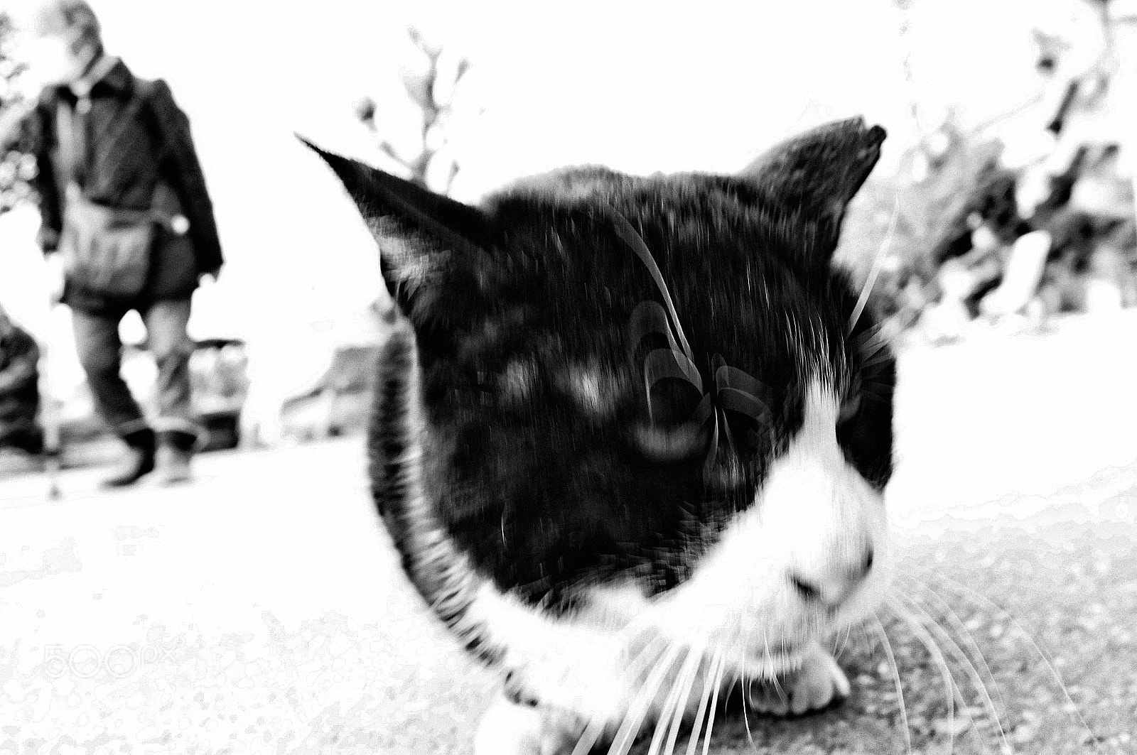 Fujifilm FinePix X100 sample photo. Tokyo photography