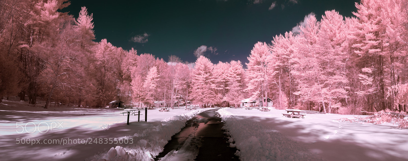 Nikon D40X sample photo. The path photography