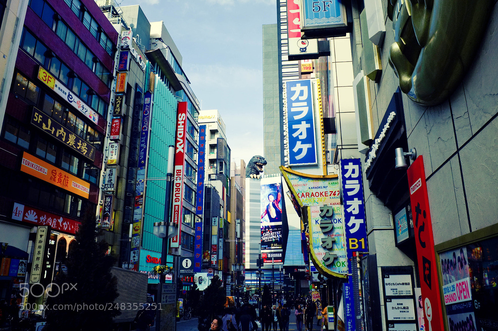 Fujifilm FinePix X100 sample photo. Tokyo photography