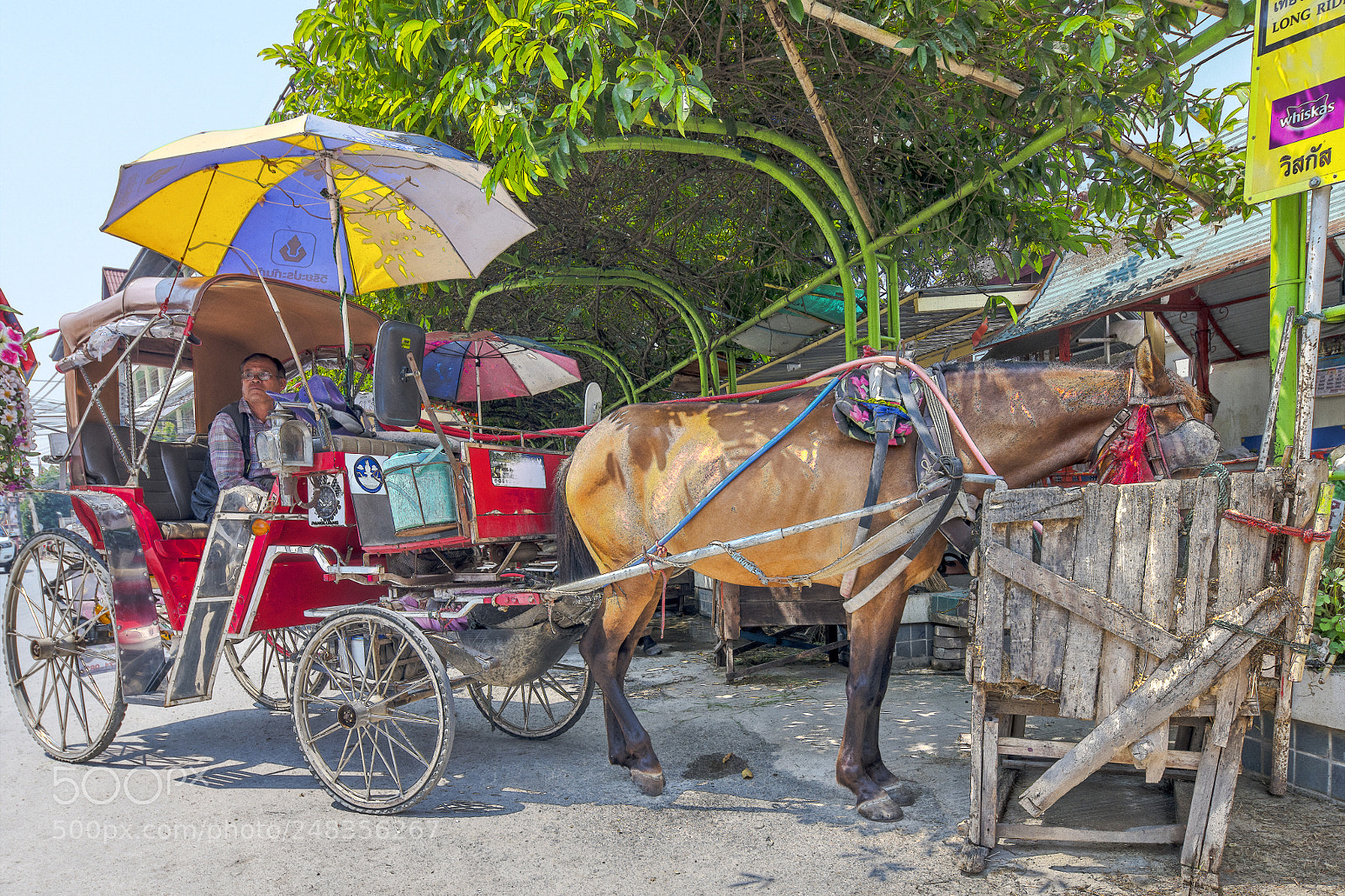 Nikon D850 sample photo. Station services photography