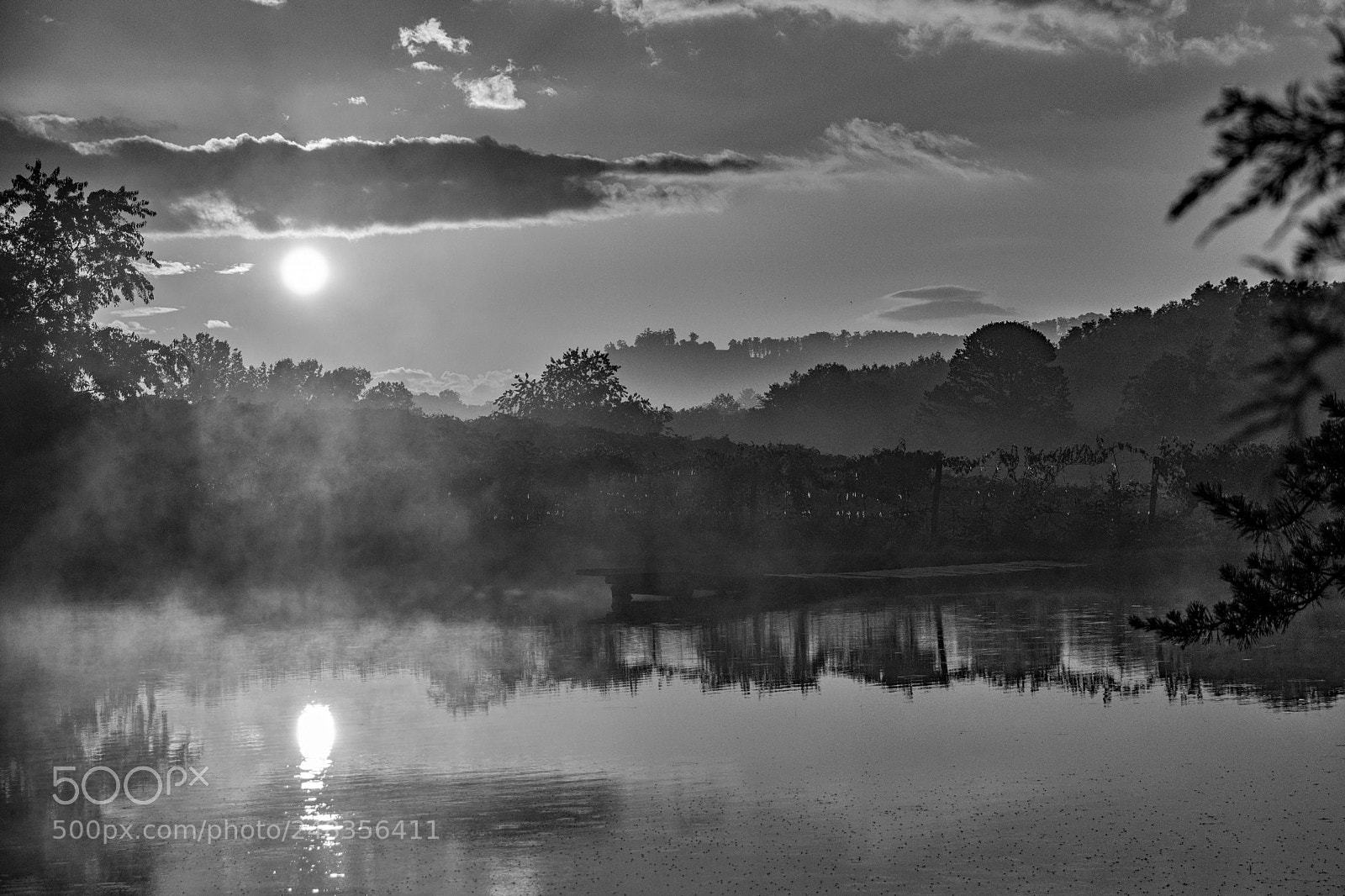 Nikon D5300 sample photo. Vineyard sunrise young harris photography