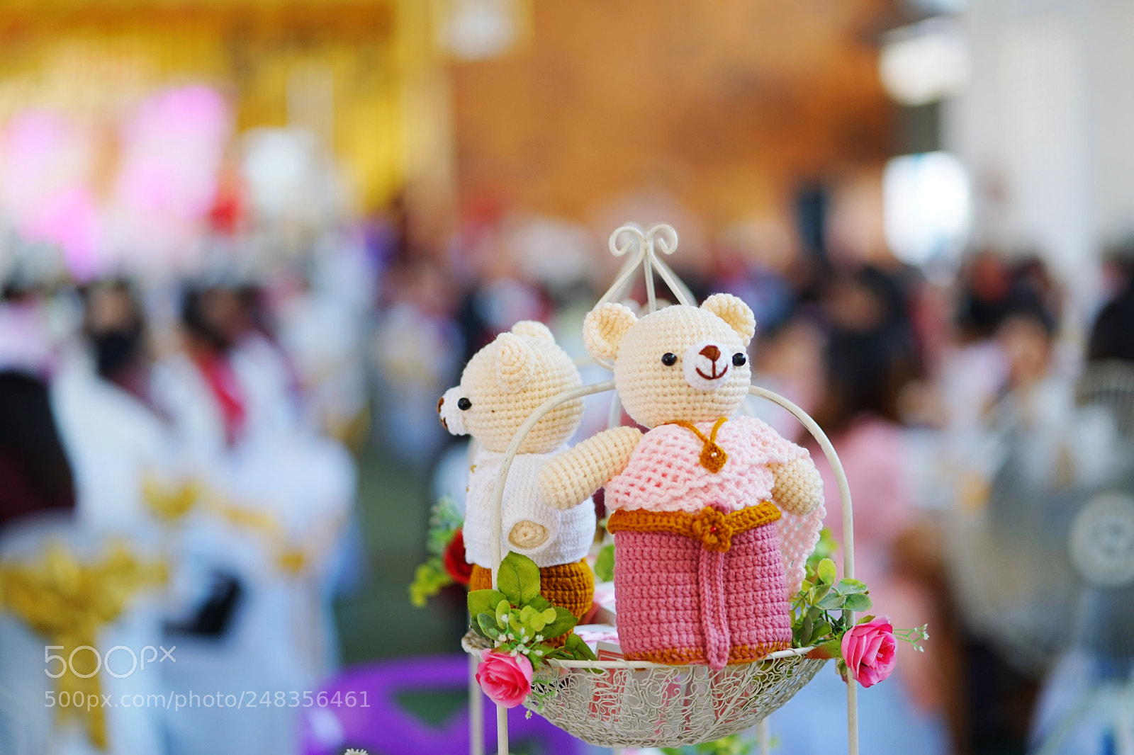 Sony a7 sample photo. Untitled photography