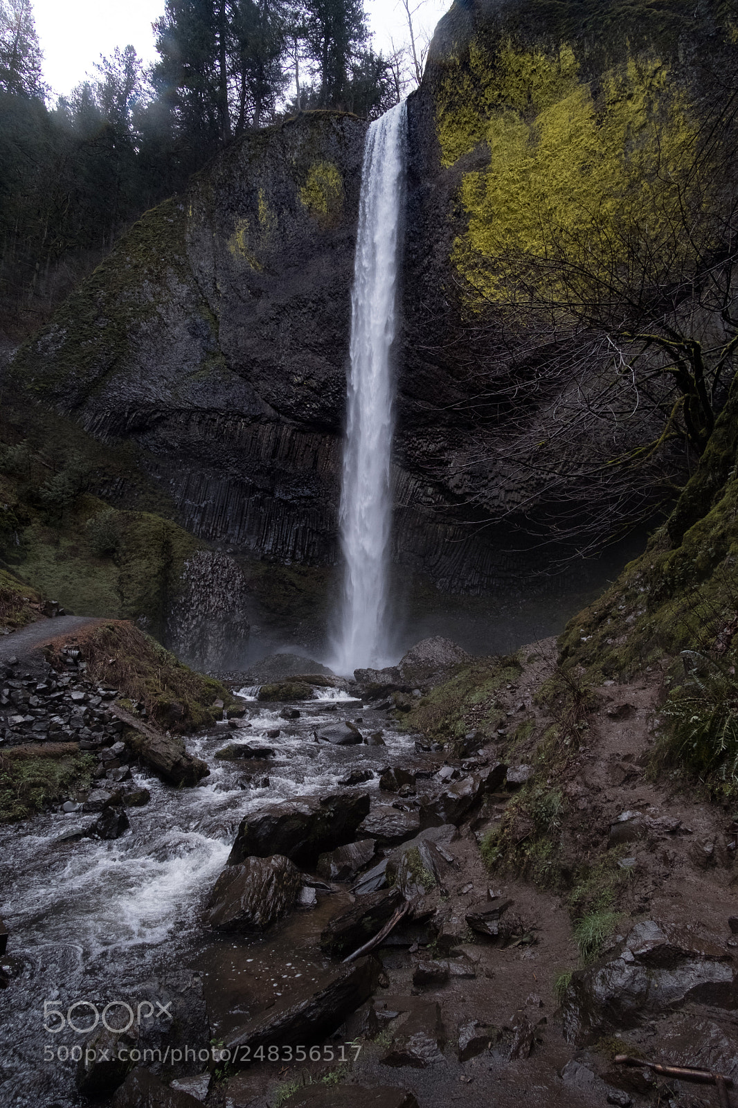 Fujifilm X-T2 sample photo. Latourell falls photography