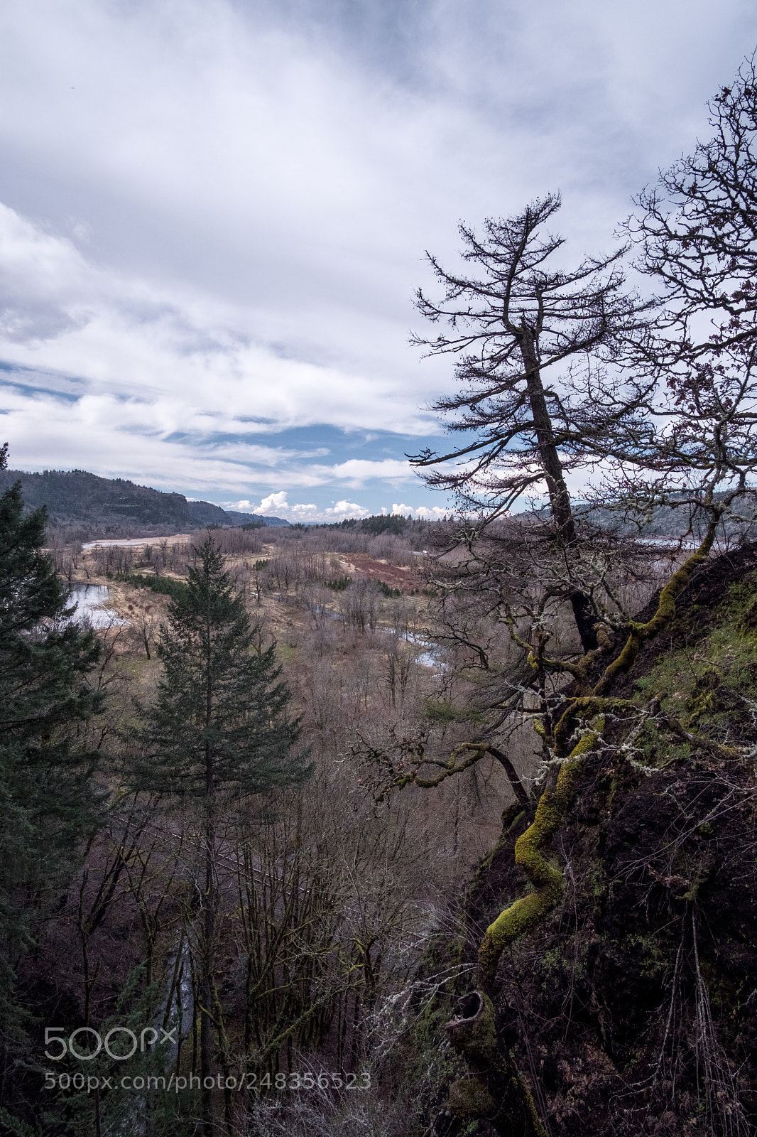 Fujifilm X-T2 sample photo. Columbia river valley photography