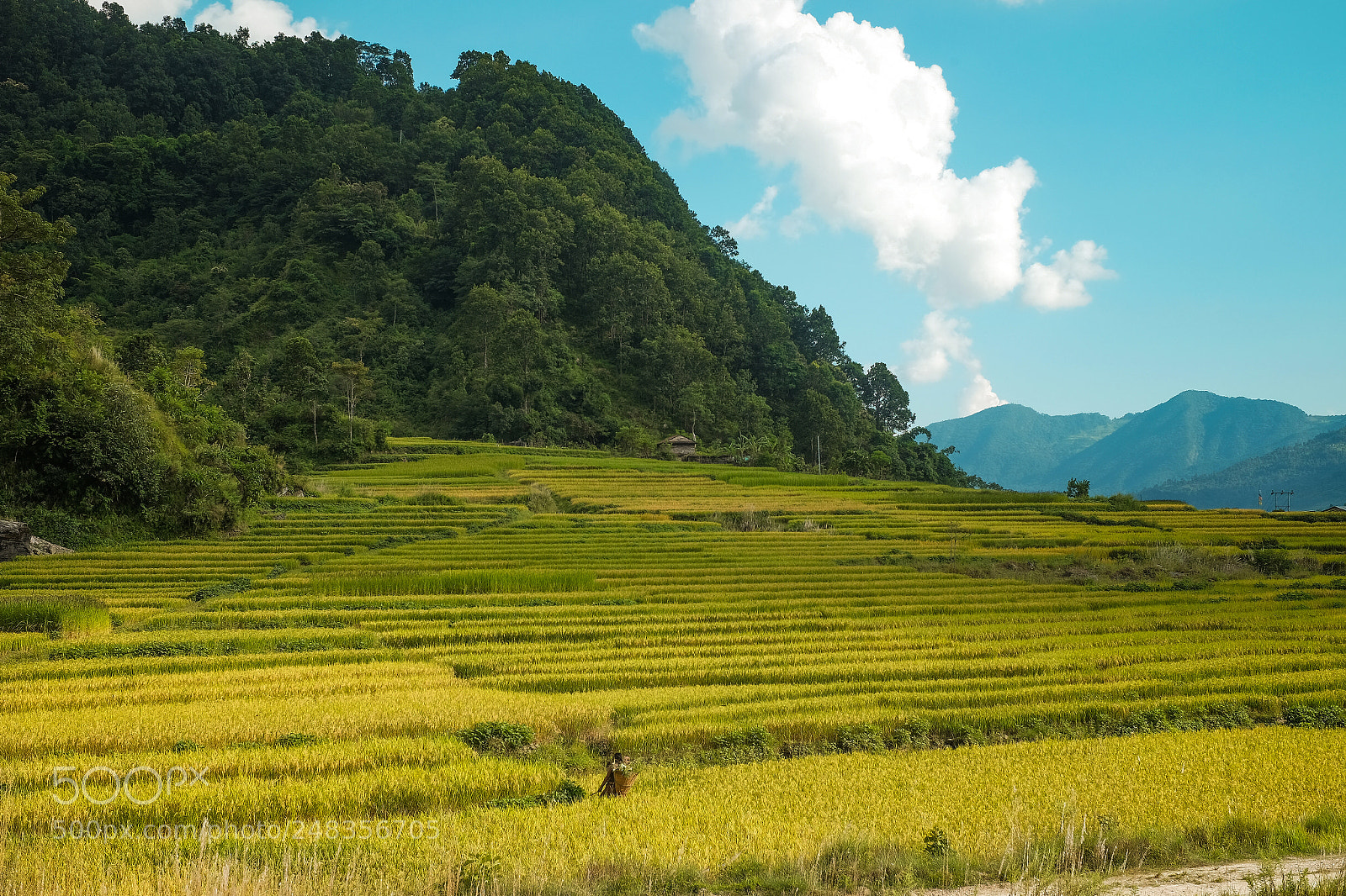 Fujifilm X-E2 sample photo. Annapurna trekking photography