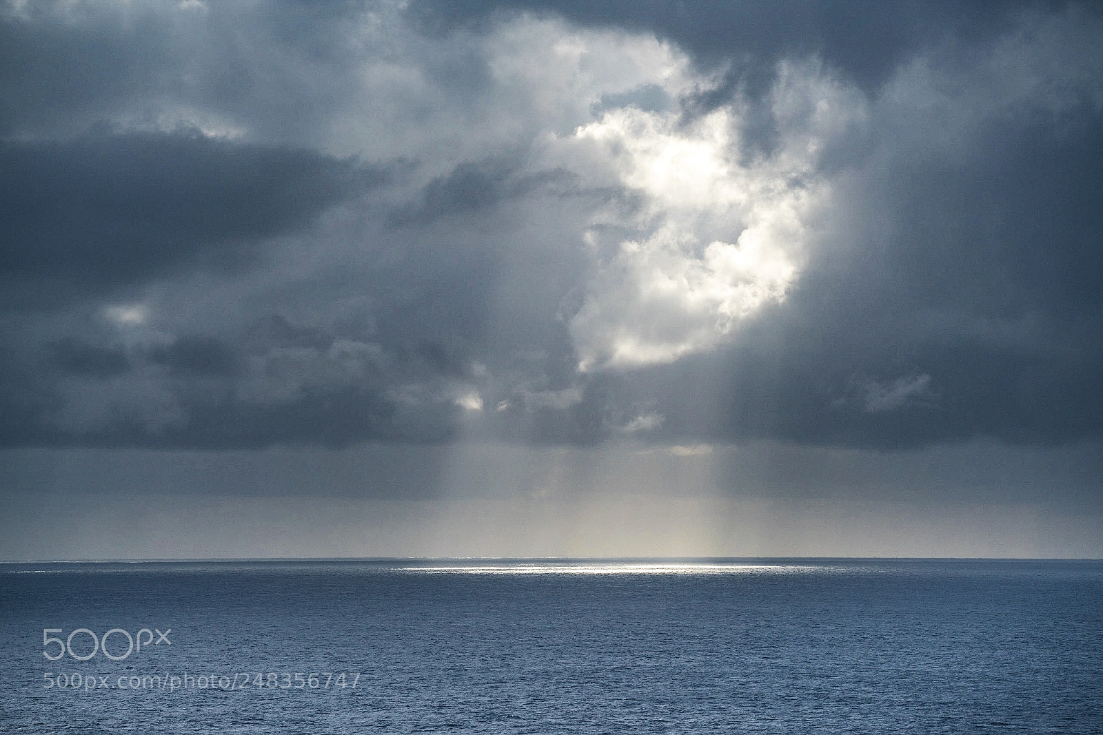 Sony a7R II sample photo. The light is coming photography