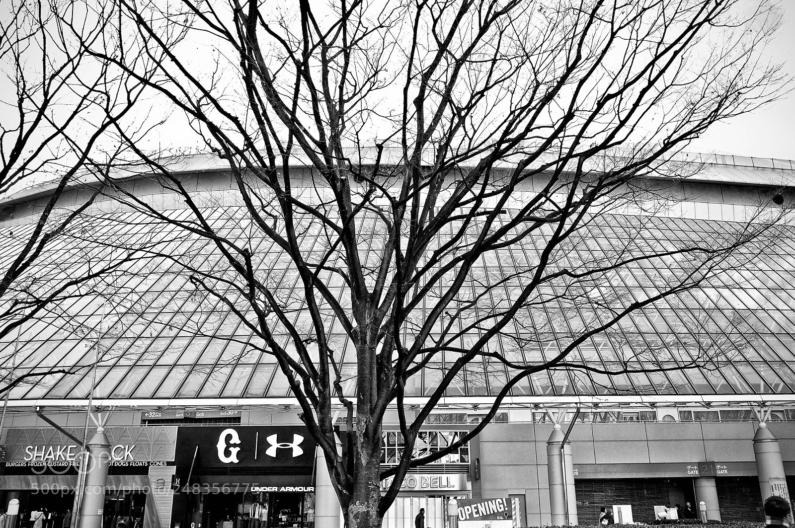 Fujifilm FinePix X100 sample photo. Tokyo photography