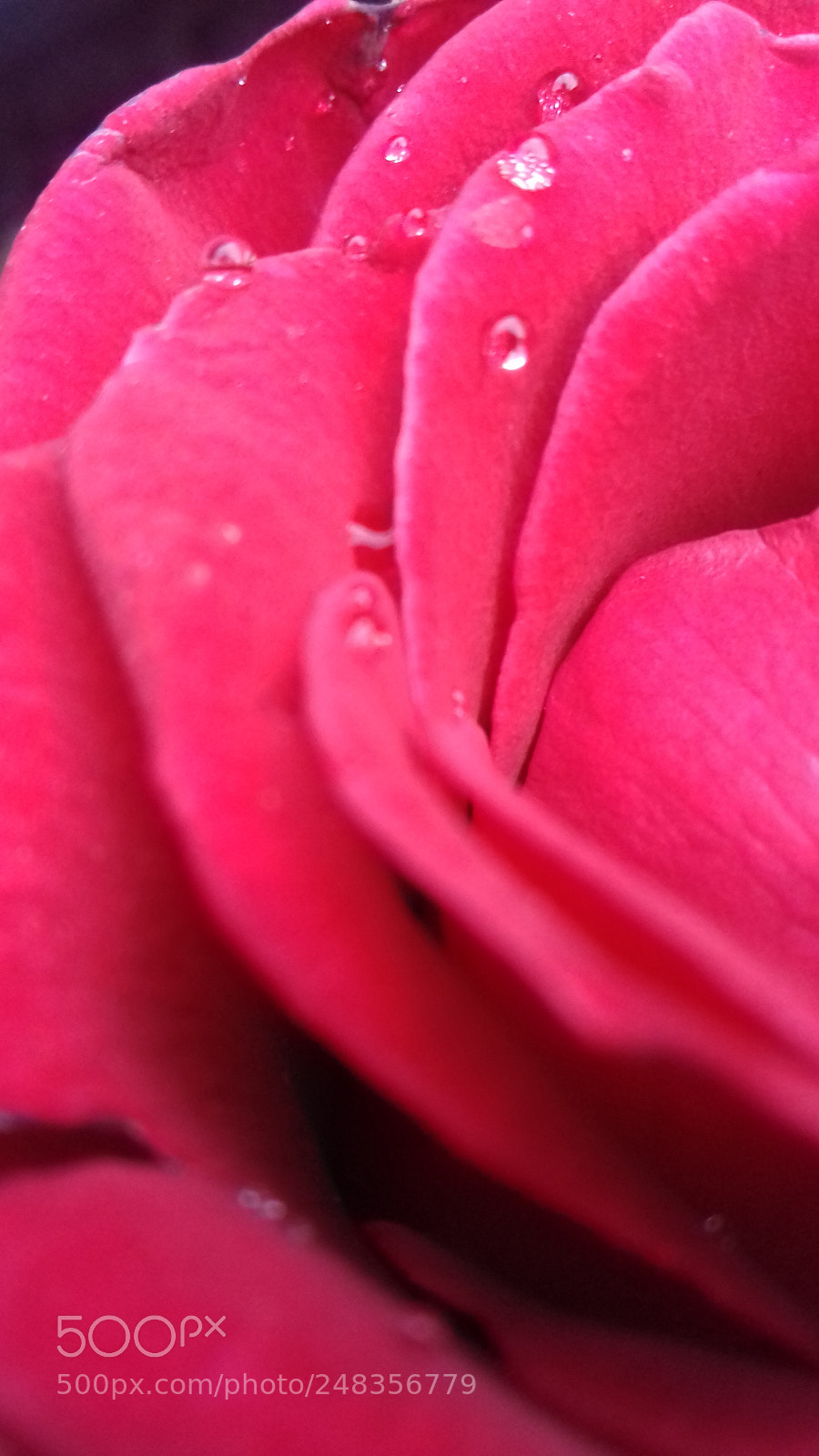 Samsung Galaxy Grand Prime sample photo. Untitled photography