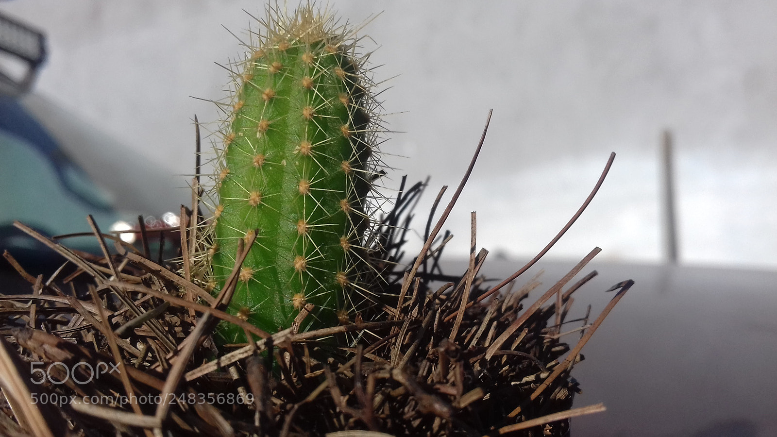 Samsung Galaxy Grand Prime sample photo. Untitled photography