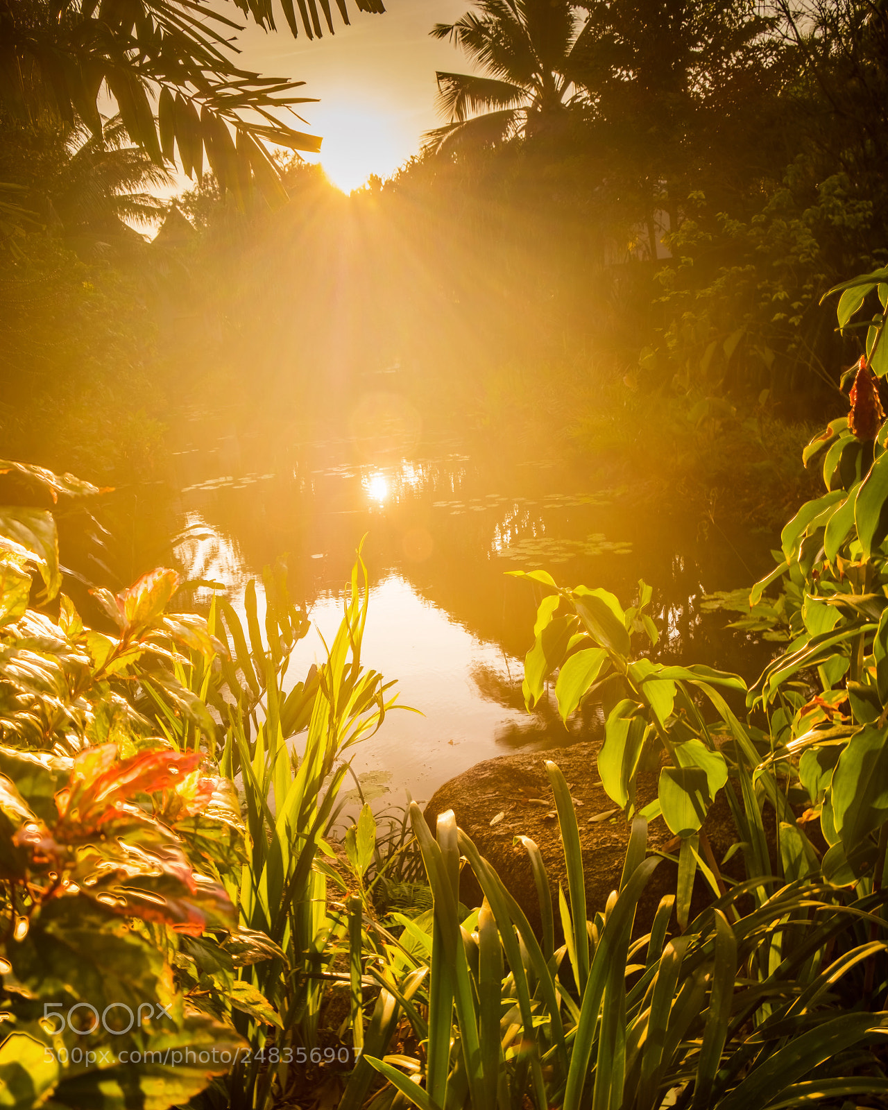 Fujifilm X-T20 sample photo. Sunset photography