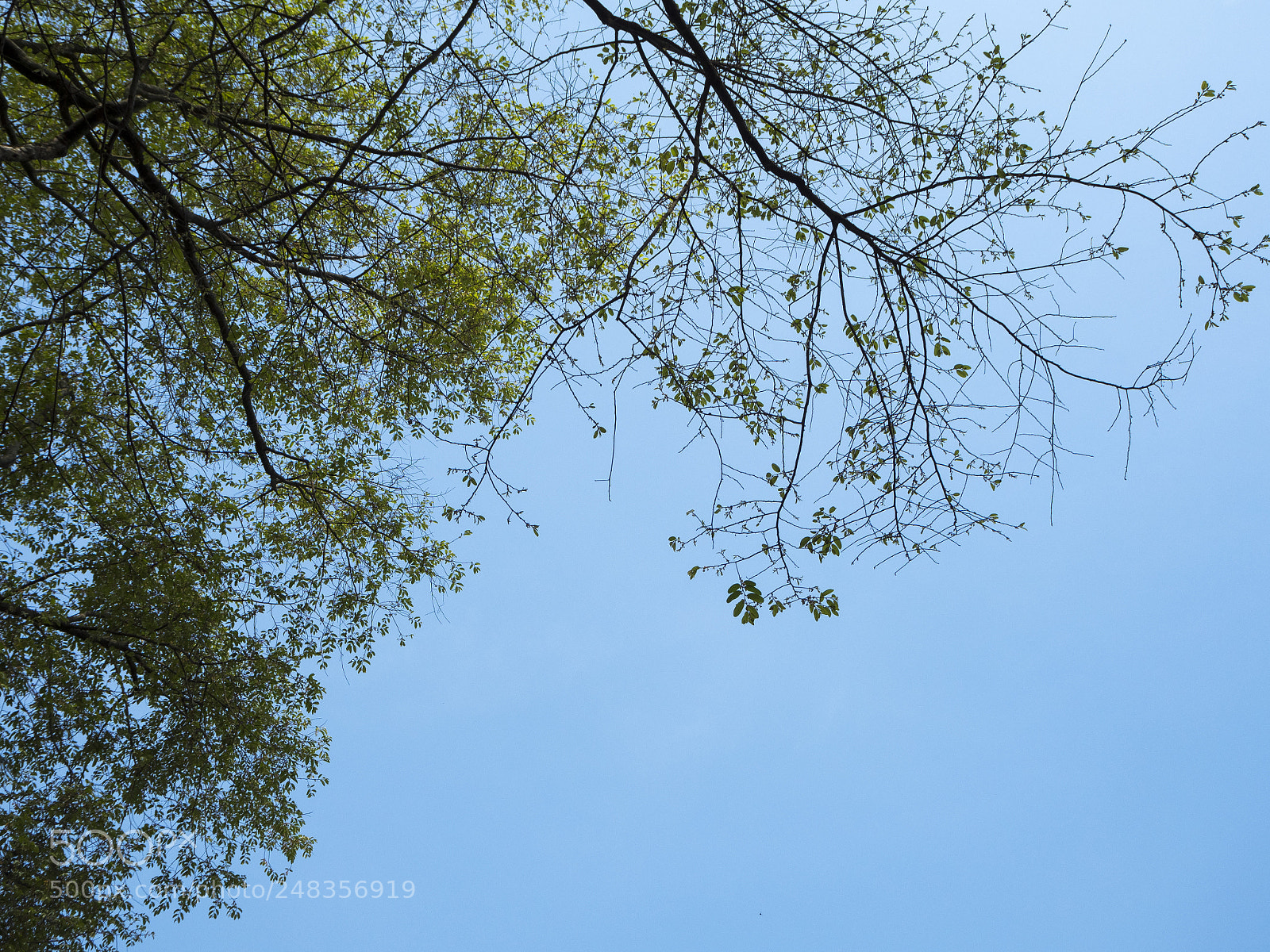 Olympus PEN E-PL8 sample photo. Edited photography