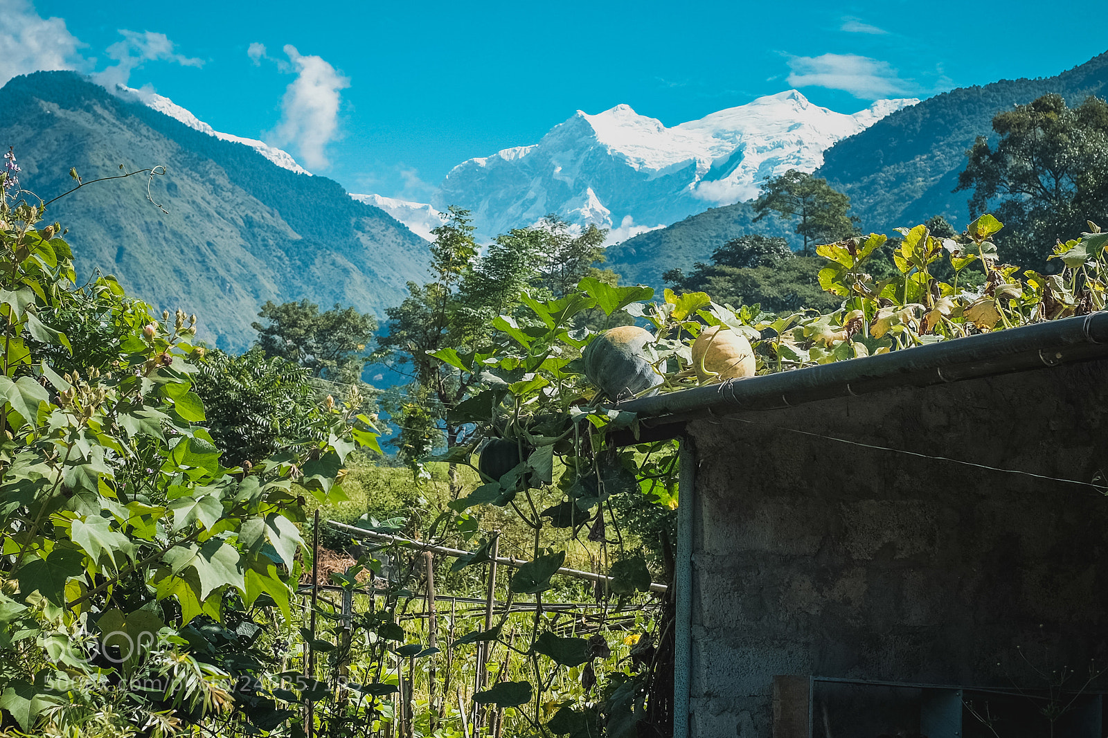 Fujifilm X-E2 sample photo. Annapurna trekking photography