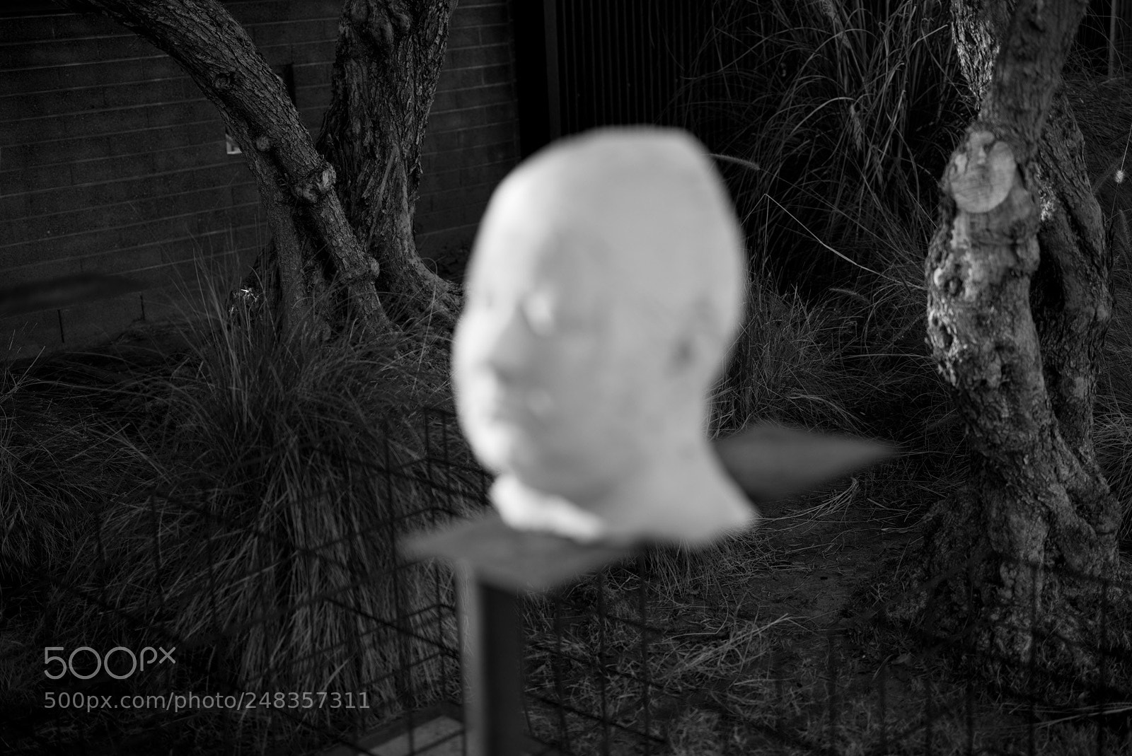 Leica M (Typ 240) sample photo. Disparity photography