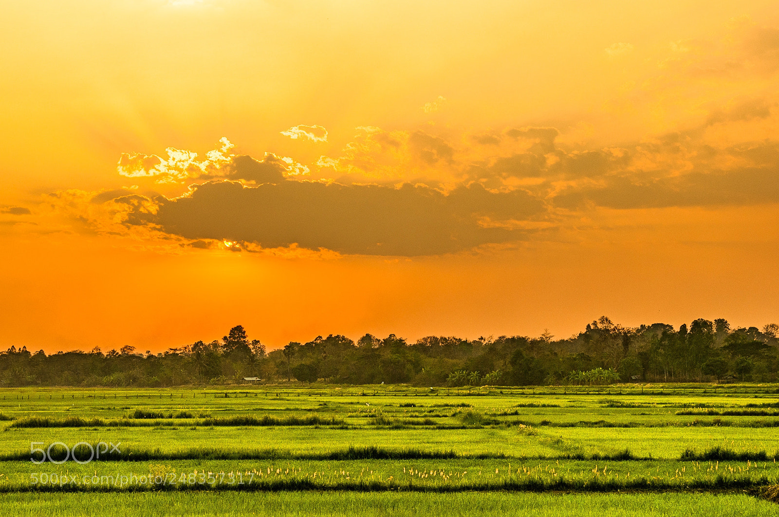 Nikon D300S sample photo. Late afternoon at countryside photography
