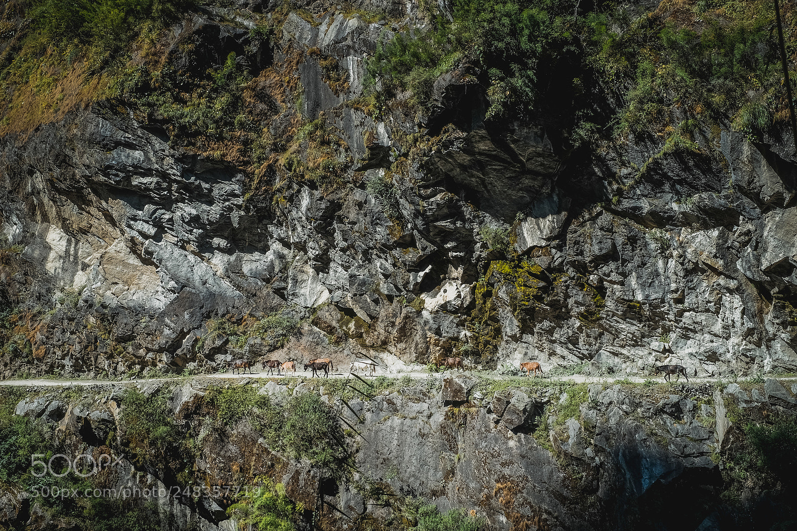 Fujifilm X-E2 sample photo. Annapurna trekking photography