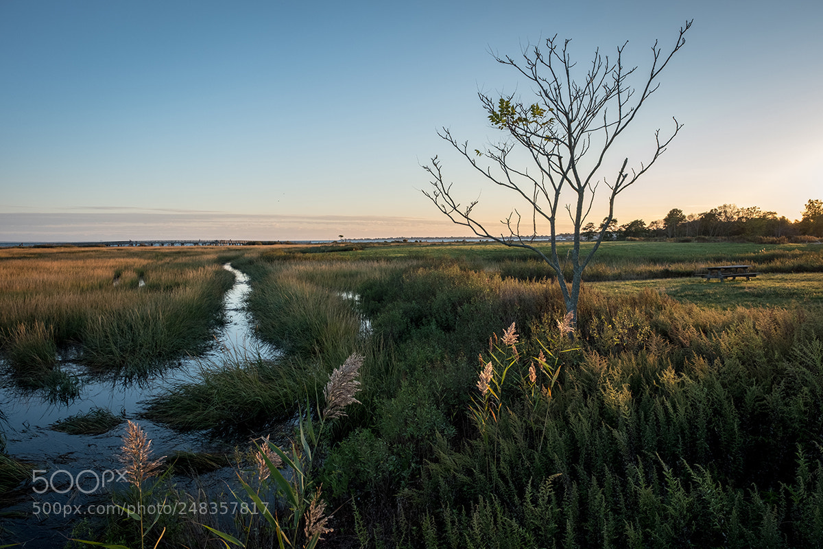 Fujifilm X-T2 sample photo. Silver sands state park photography