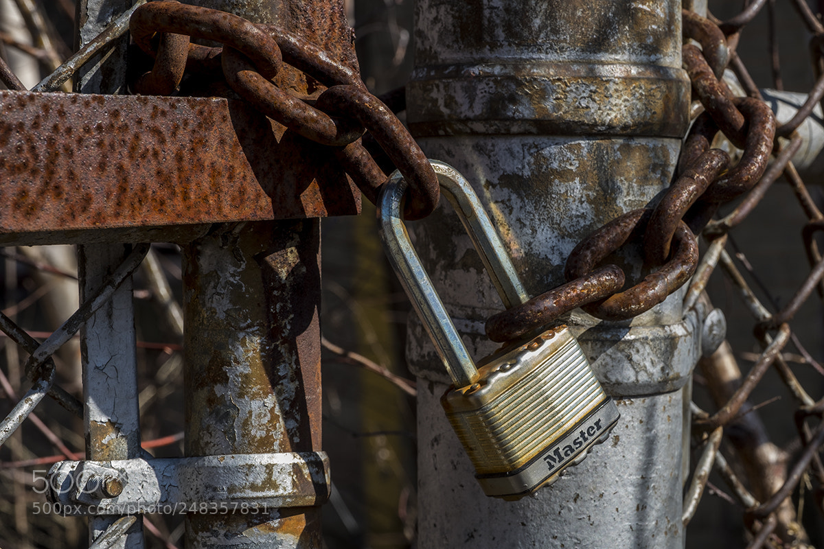 Fujifilm X-T2 sample photo. Secured! photography