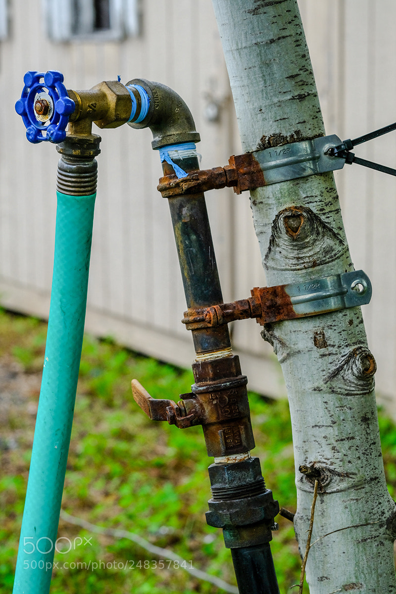 Fujifilm X-T2 sample photo. Whatever works... photography