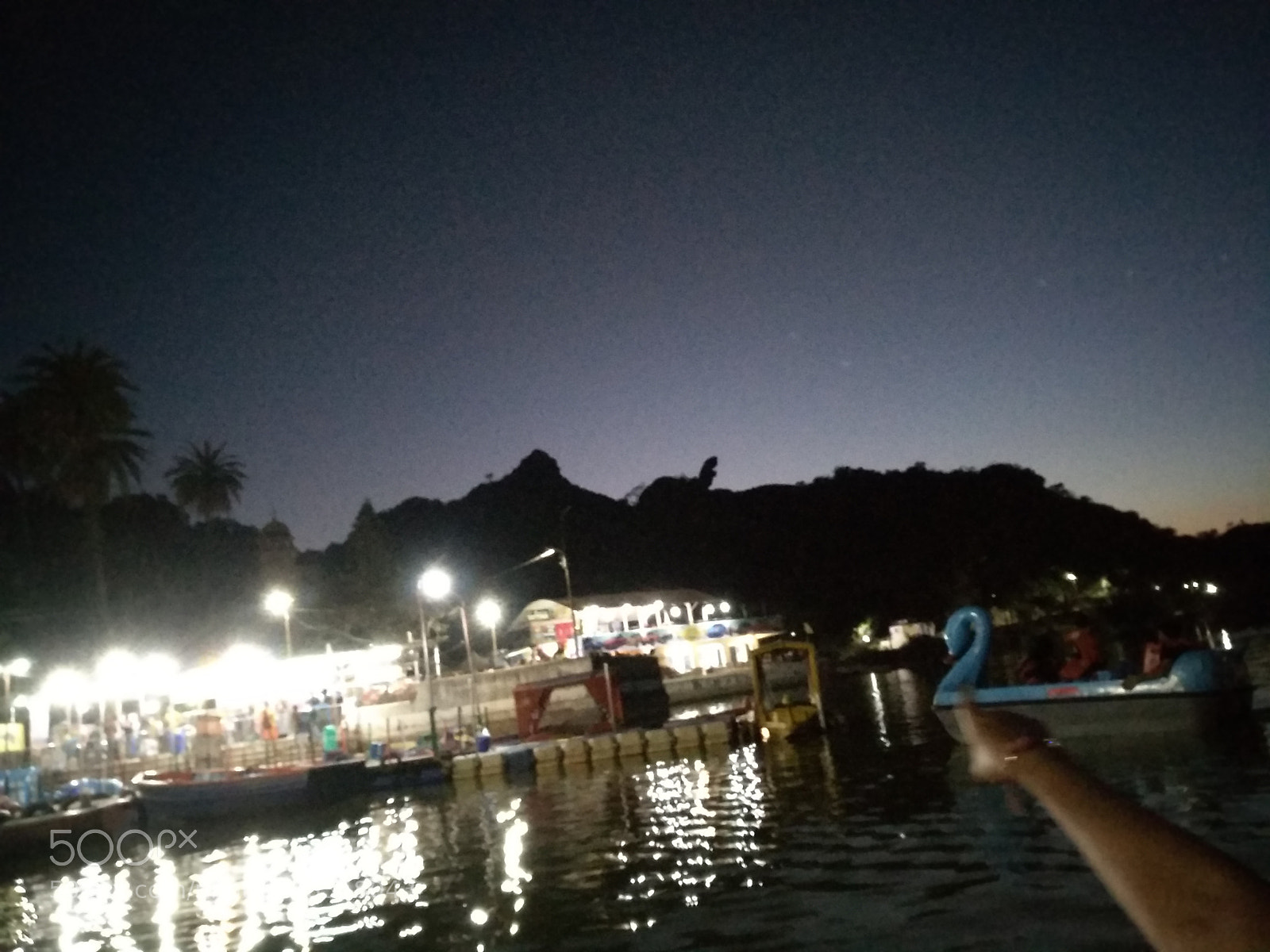 Xiaomi MI MAX 2 sample photo. Can turtle ride to photography