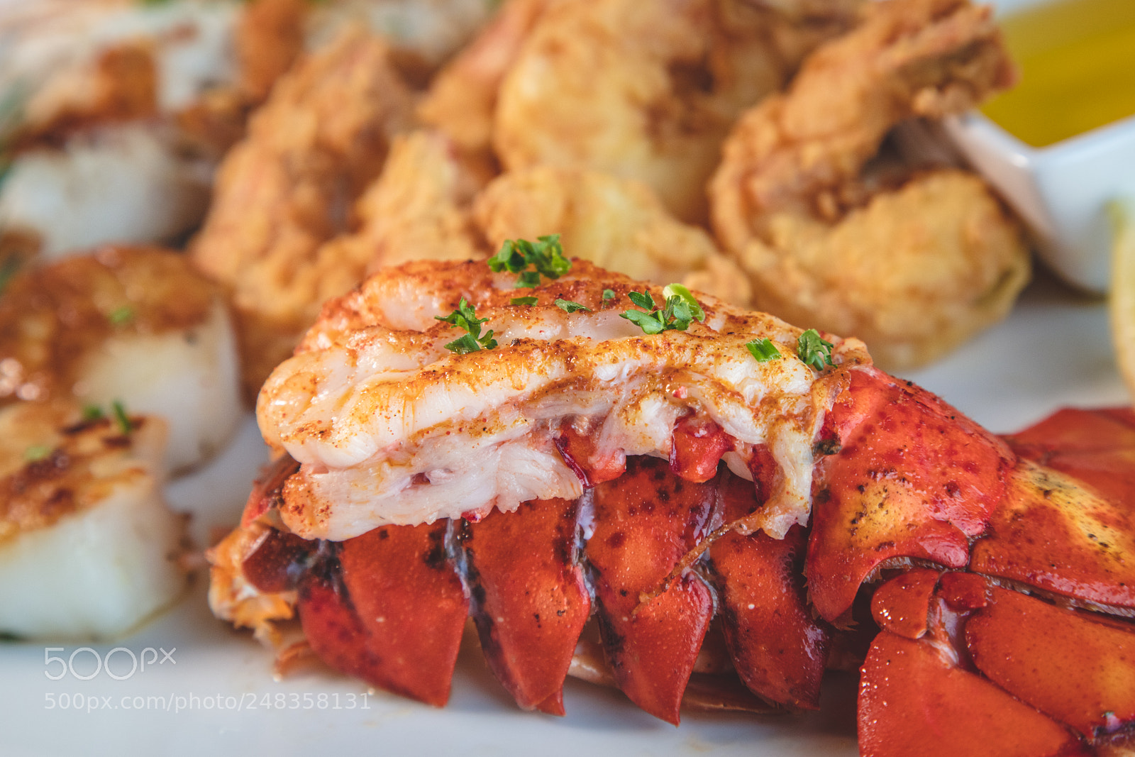 Canon EOS 5DS R sample photo. Lobster photography