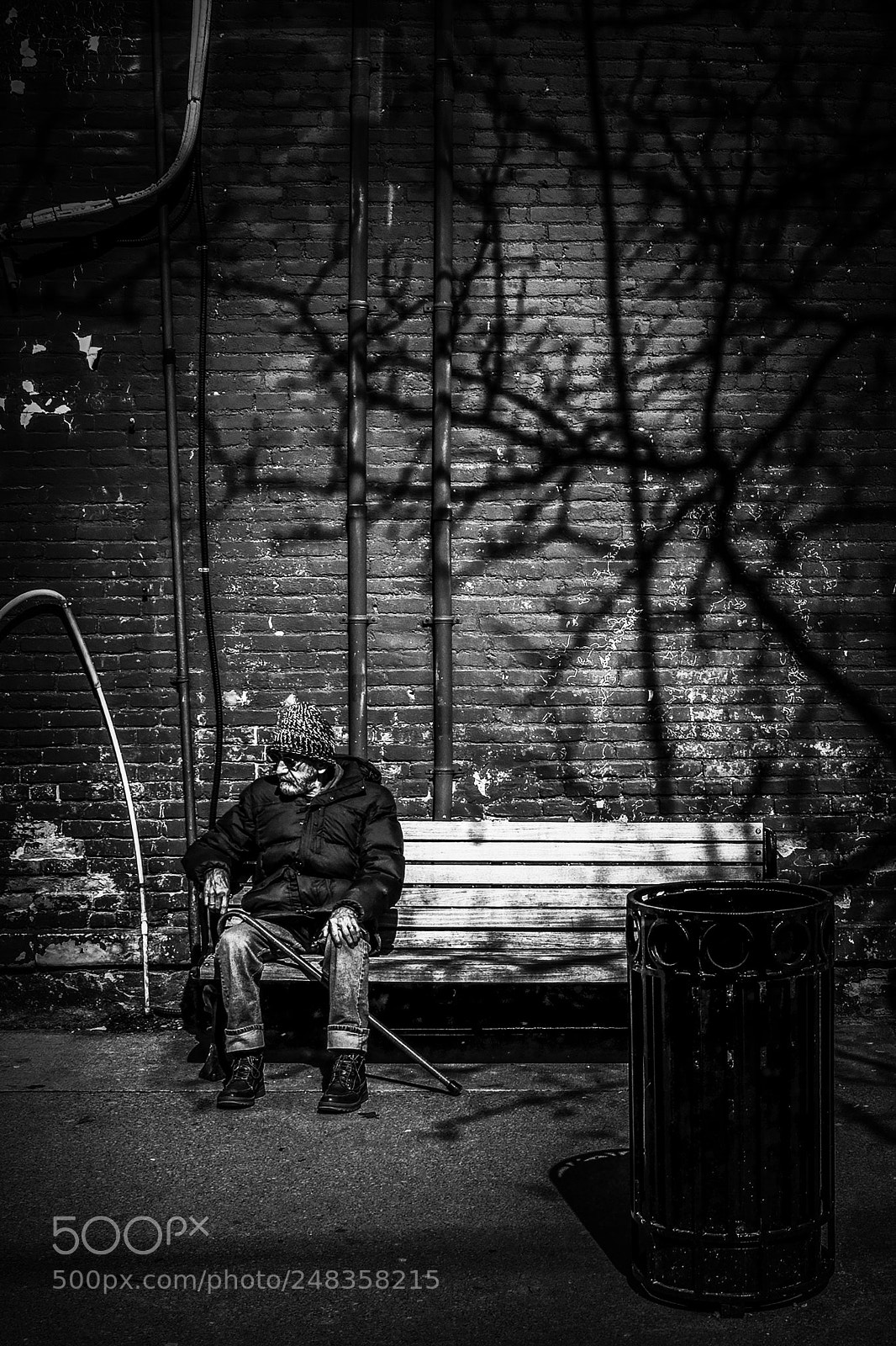 Nikon D500 sample photo. Waiting on a bench photography