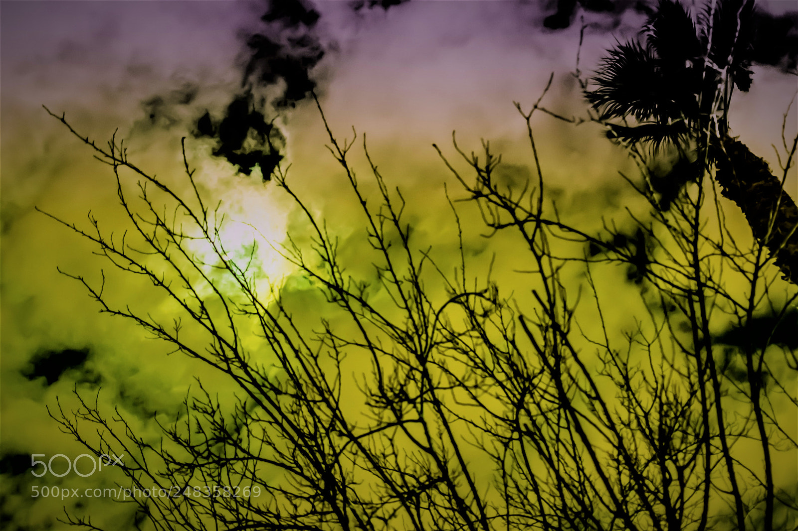 Nikon D5300 sample photo. Cloudy moon photography
