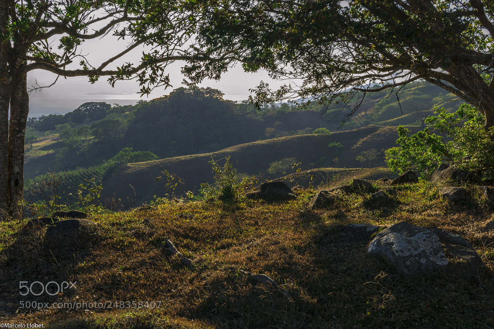 Leica M9 sample photo. L1000163-2.jpg photography