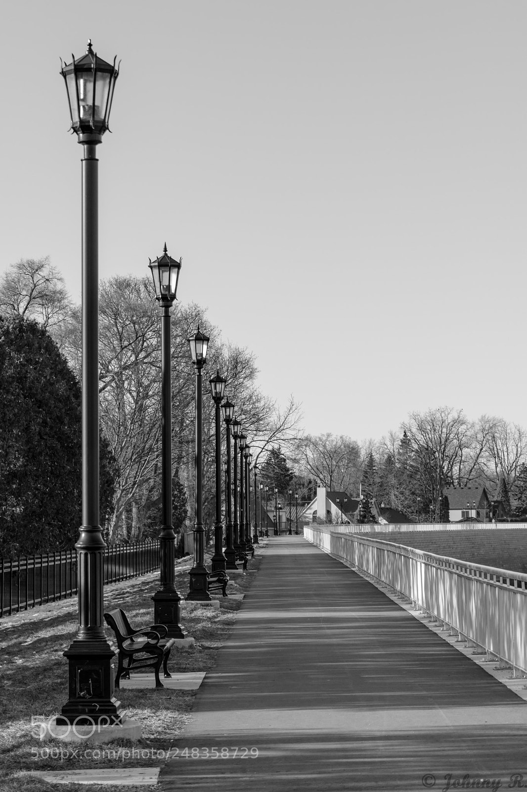 Nikon D5600 sample photo. Lonely pathway photography