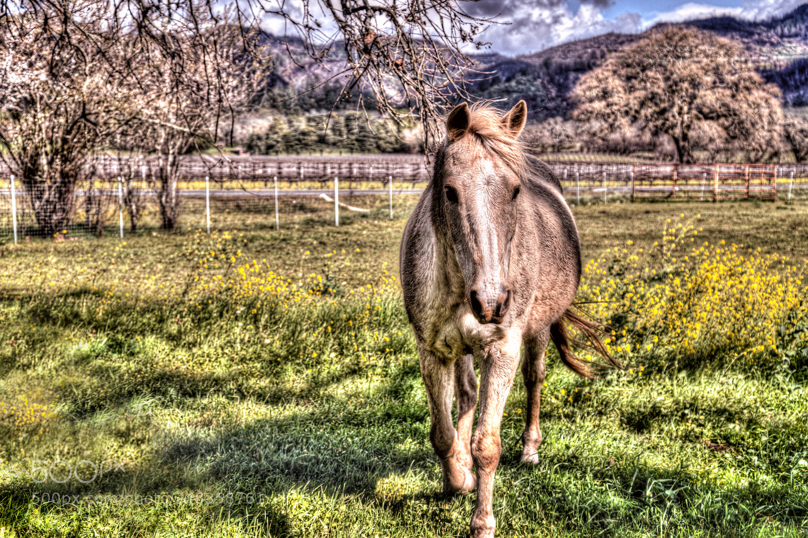 Nikon D850 sample photo. Serene haven on a photography