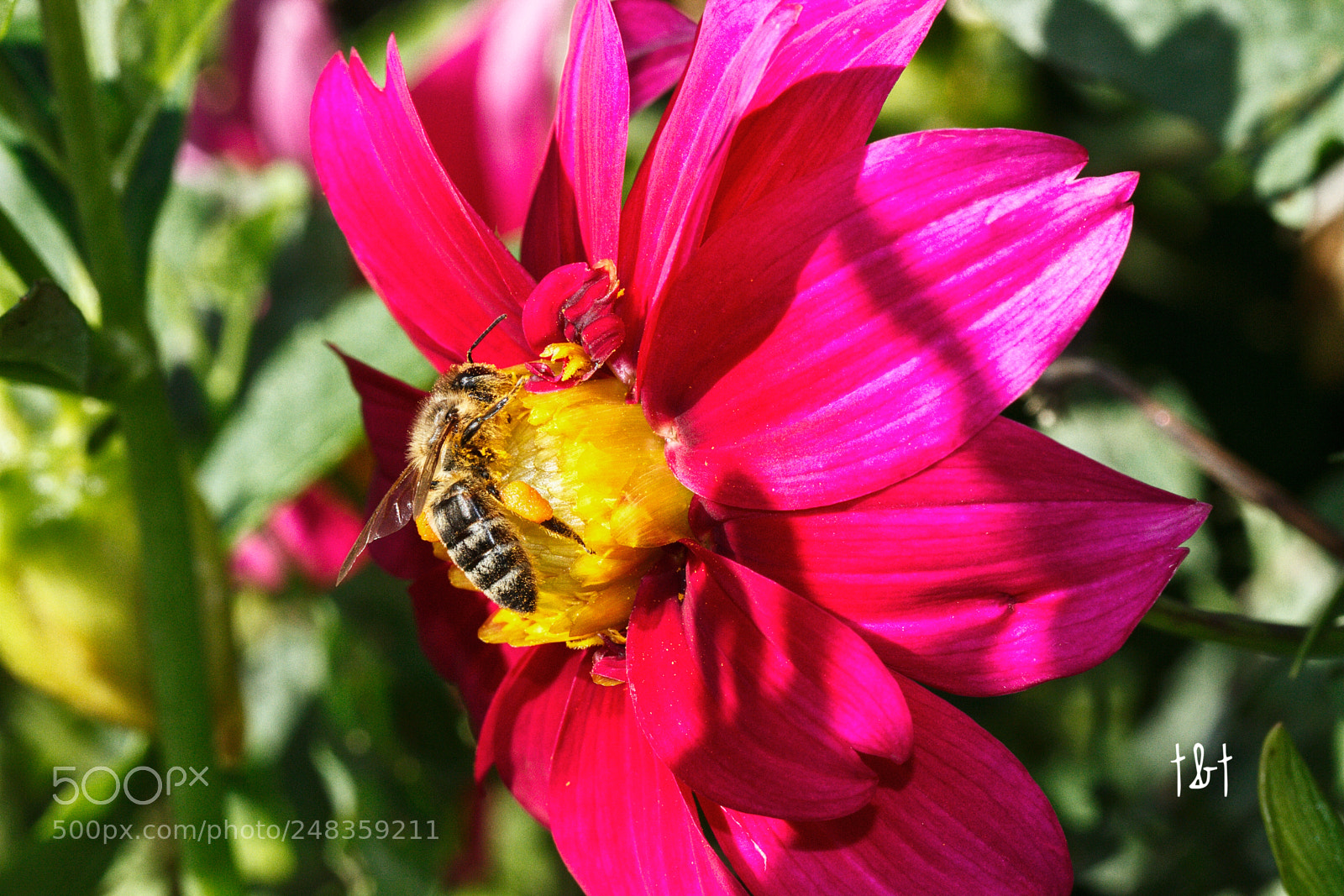 Canon EOS 7D sample photo. Untitled photography