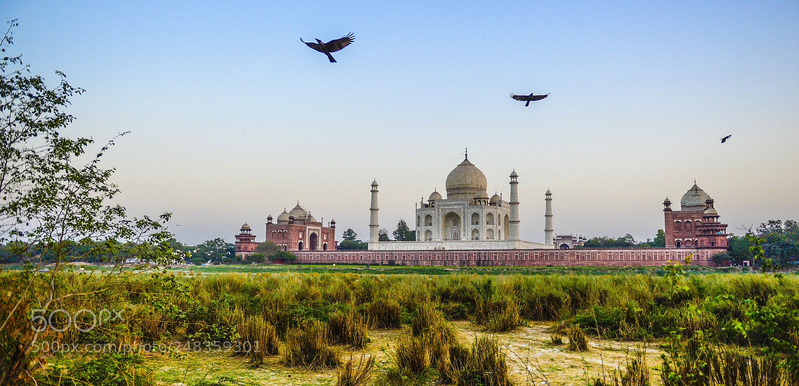 Nikon D4 sample photo. Tajmahal photography