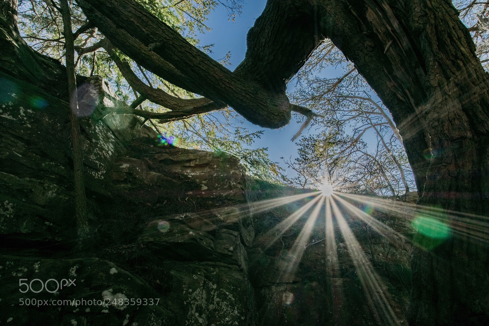 Nikon D5300 sample photo. Stone door sunburst photography