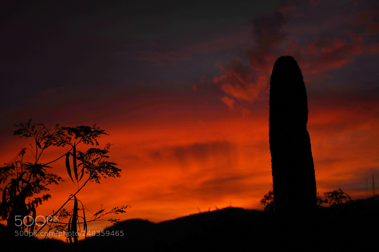 Nikon D7500 sample photo. Atardecer colimote photography