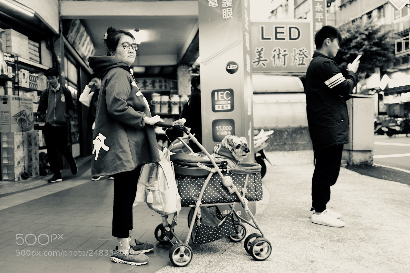 Leica Q (Typ 116) sample photo. 在這裡學會了一個詞，「毛孩子」 photography