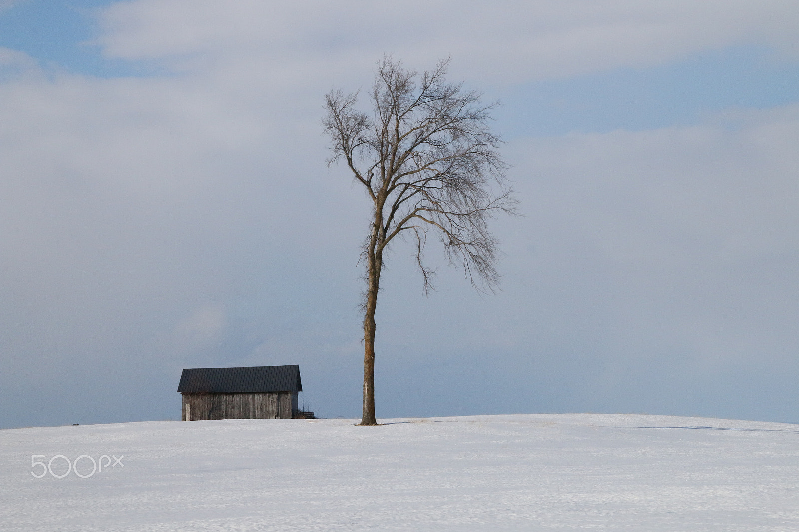 Canon EOS 70D sample photo. Winter tree photography