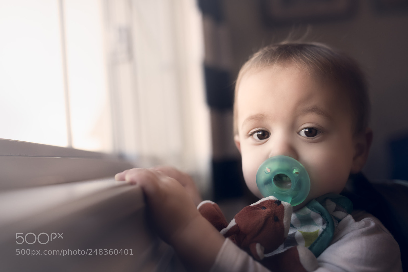 Nikon D850 sample photo. Mack mack. photography