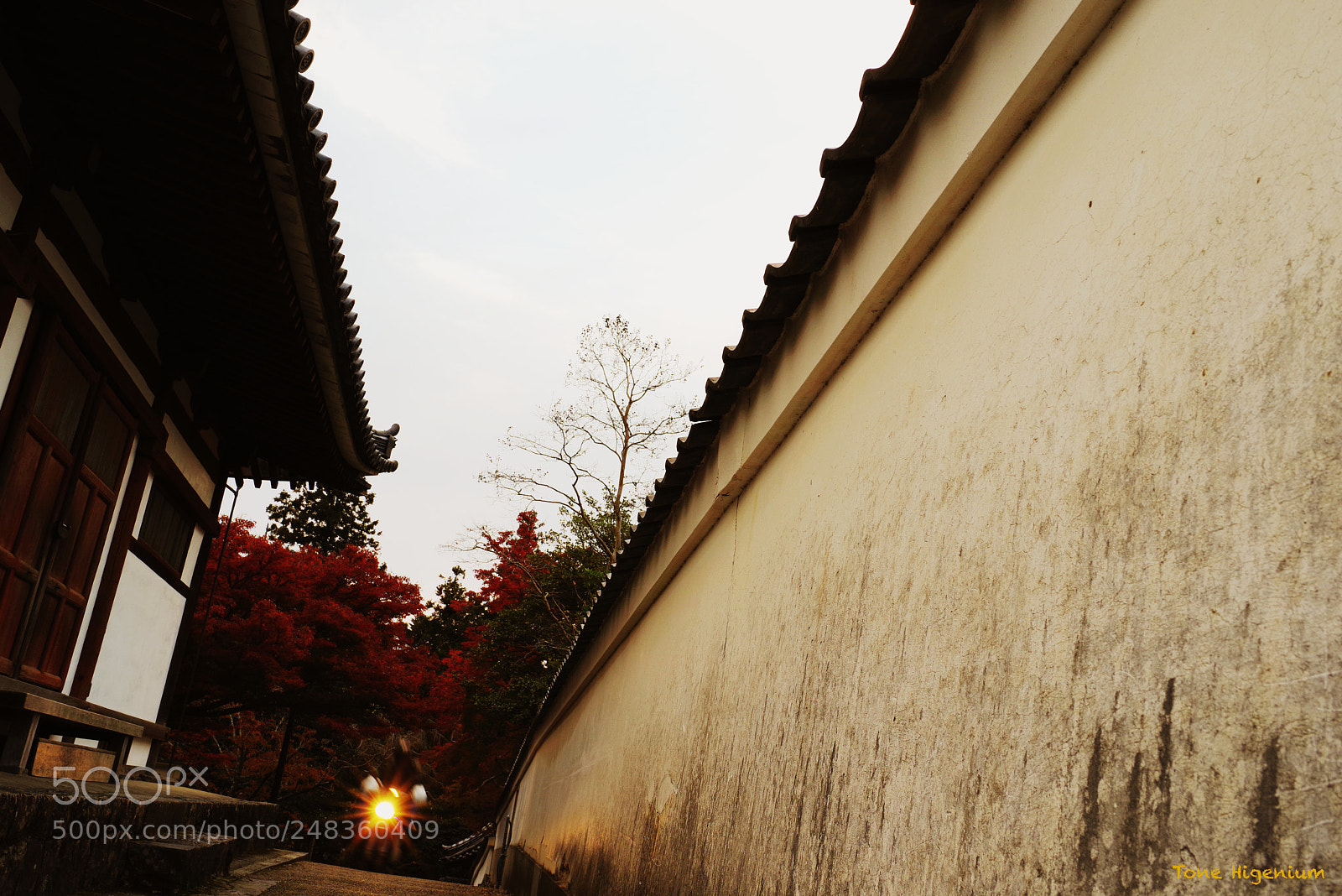 Pentax K-1 sample photo. Deriverer of evening paper photography