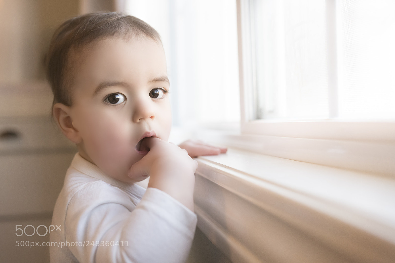 Nikon D850 sample photo. Always teething. photography