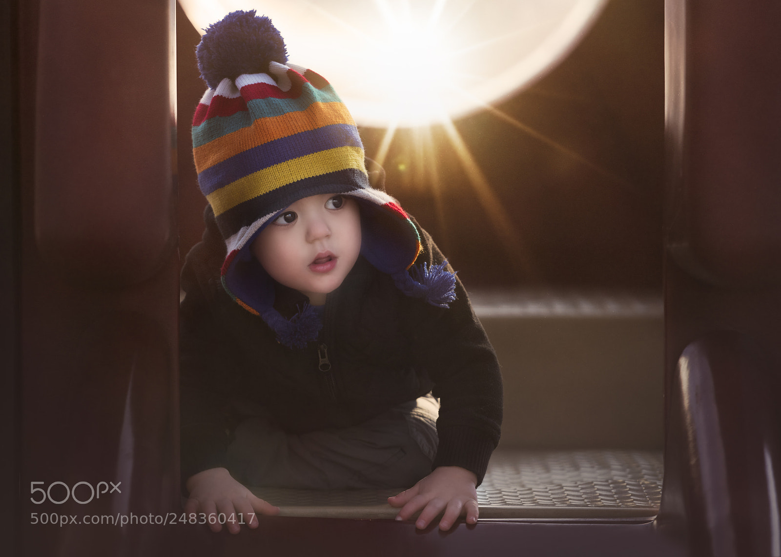 Nikon D850 sample photo. Not the brave one. photography