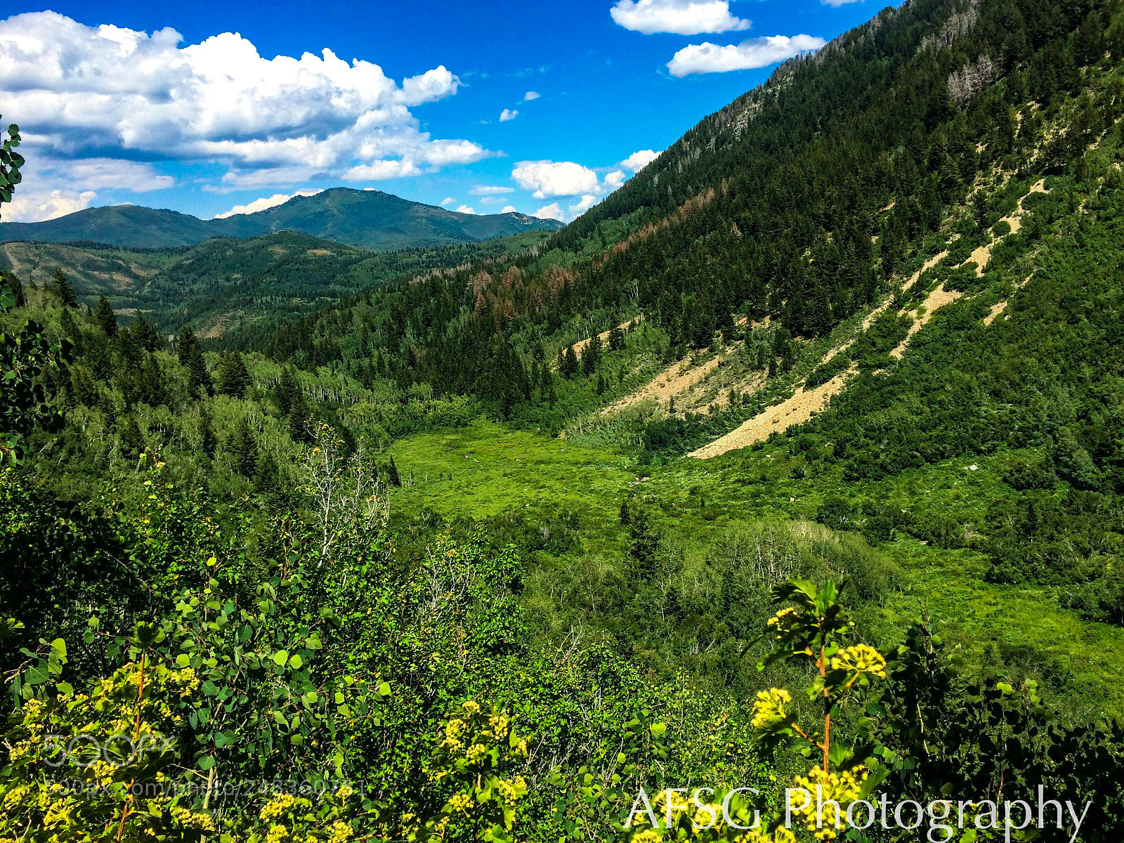 Apple iPhone 5s sample photo. Green valley to green photography