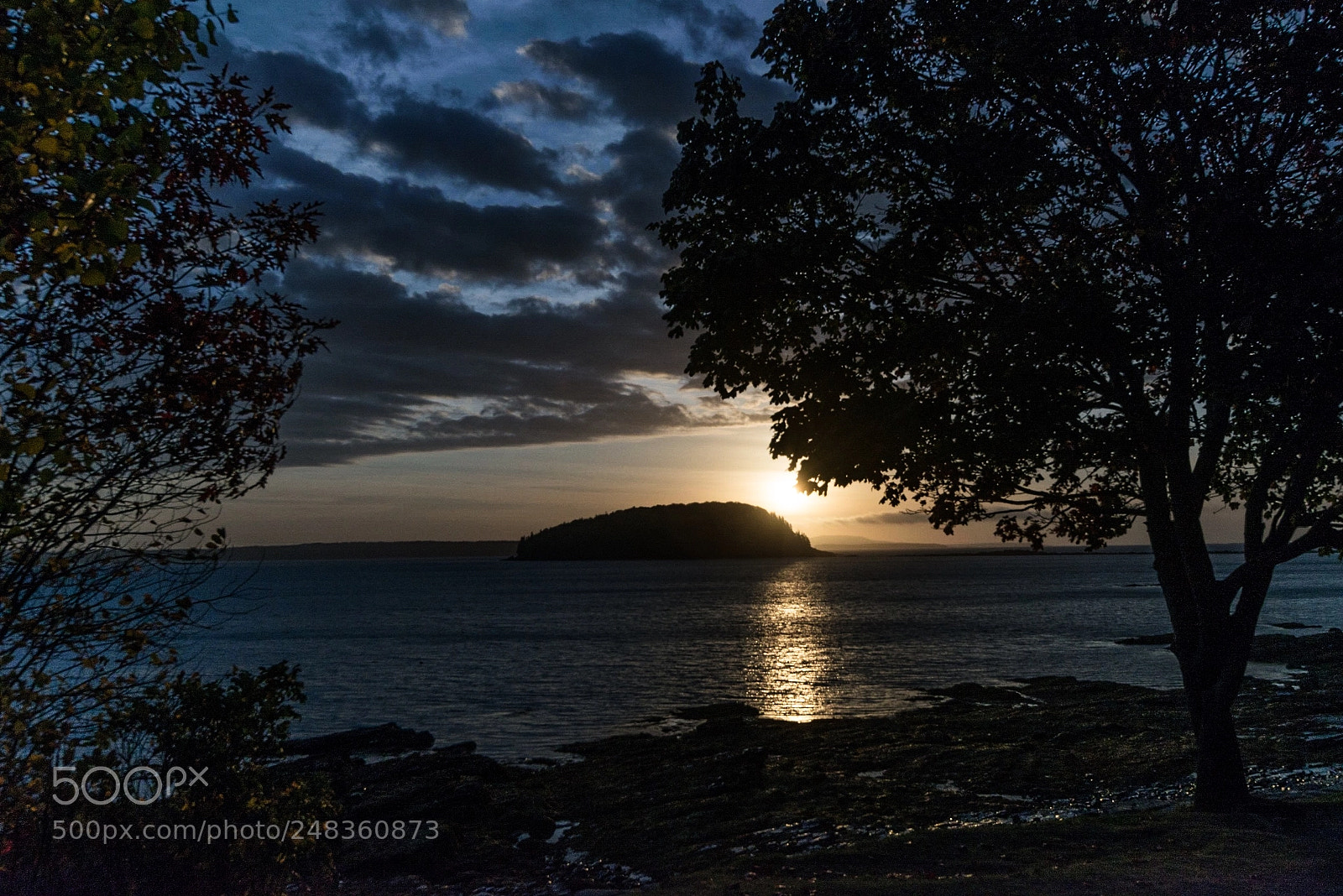 Nikon D800E sample photo. Sunrise - bar harbor photography