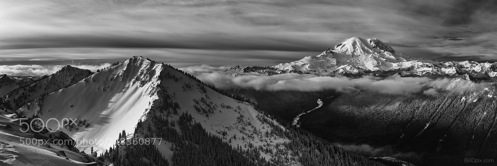 Olympus OM-D E-M5 II sample photo. Rainier and the queen photography