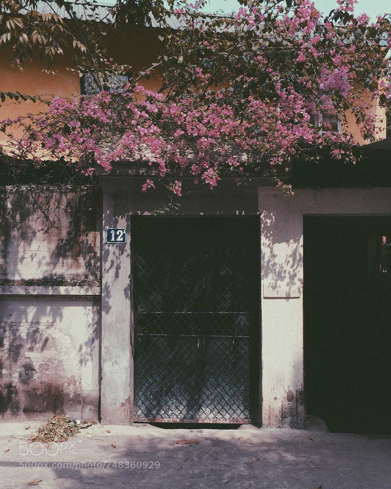 Apple iPhone 5s sample photo. The falling leaves, drift photography