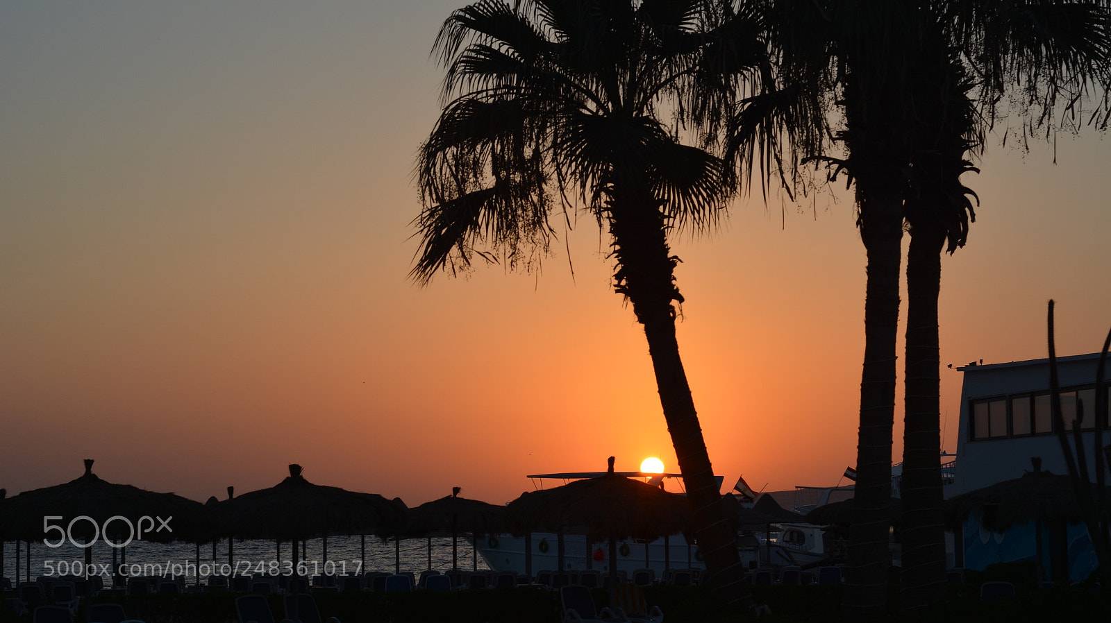 Nikon D7100 sample photo. The sunshine in hurghada photography
