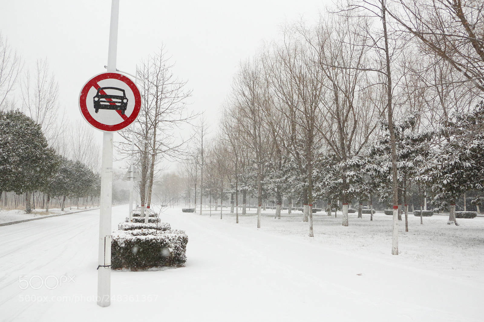 Canon EOS 700D (EOS Rebel T5i / EOS Kiss X7i) sample photo. Untitled photography