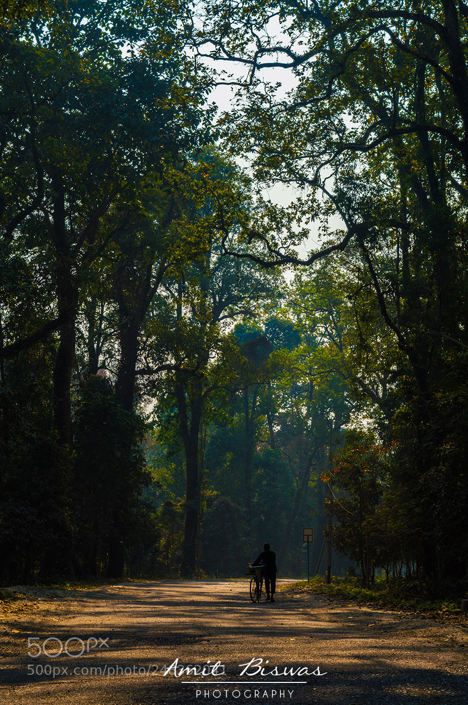 Nikon D3200 sample photo. Journey of life photography