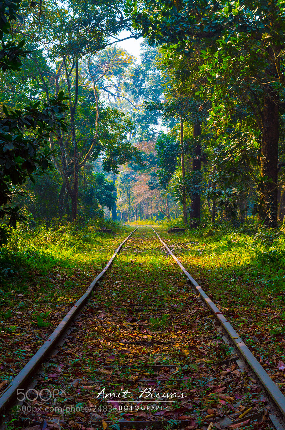Nikon D3200 sample photo. Covered by nature photography