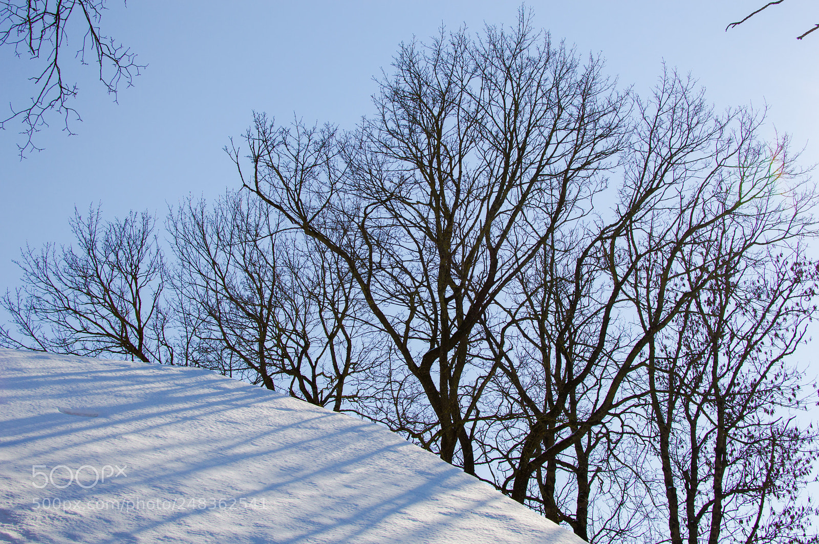 Nikon D3200 sample photo. Winter barcode photography