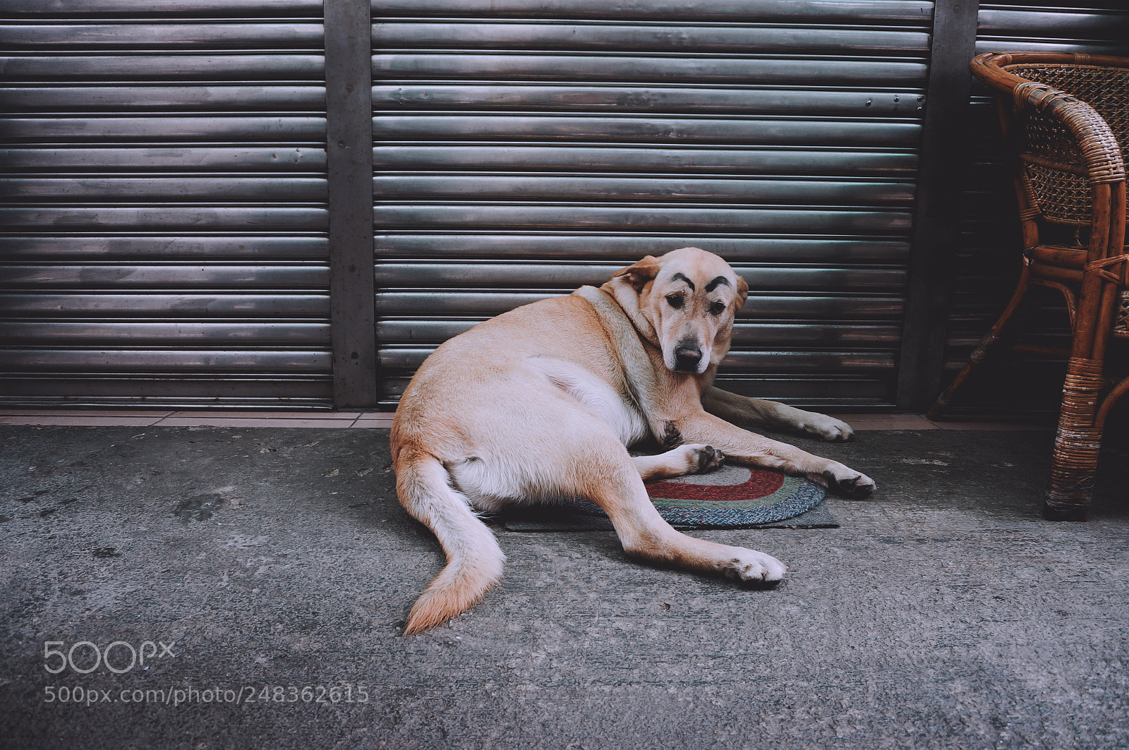 Sony Alpha NEX-5R sample photo. Untitled photography