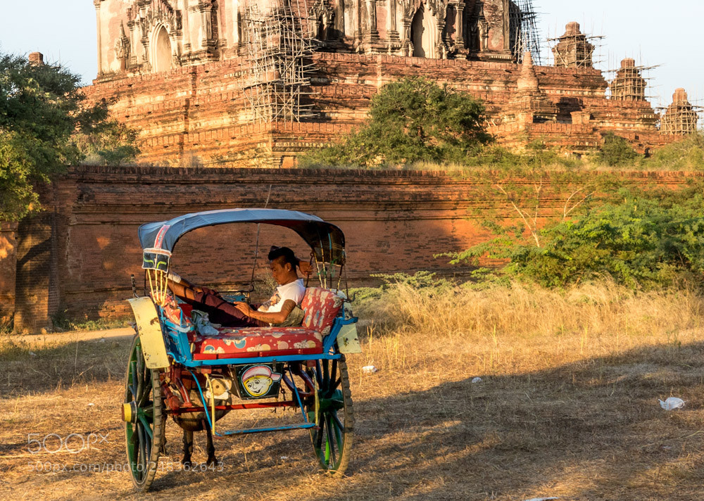 Sony Cyber-shot DSC-RX10 III sample photo. Waiting in bagan. myanmar photography